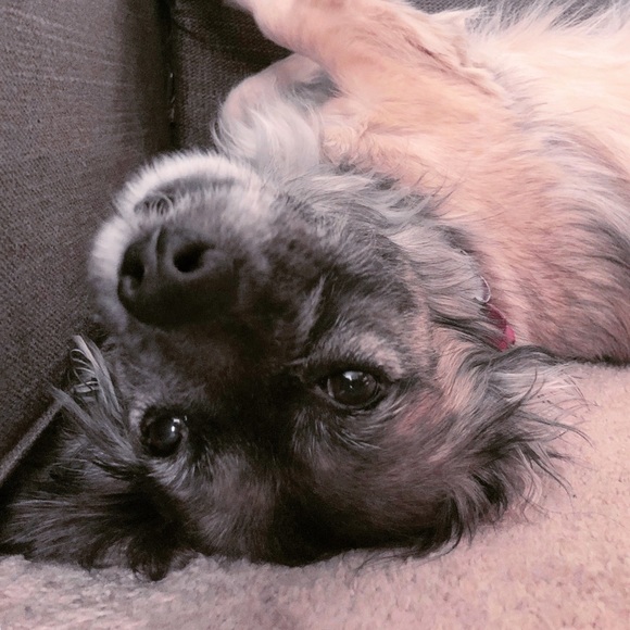 Meet your Posher, Rachel - Picture 2 of 5